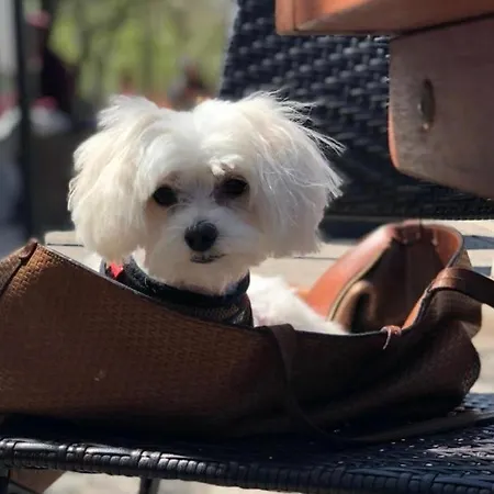 Hanza Tower 23 Pool & Jacussi *